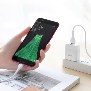 Bộ sạc nhanh 2 cổng Hoco C73 Micro 12W