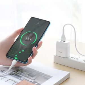 Bộ sạc nhanh 2 cổng Hoco C73 Type C 12W