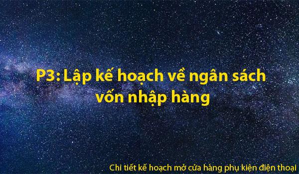P3: Lập kế hoạch về ngân sách vốn nhập hàng