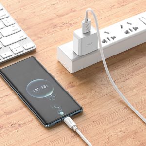 Củ sạc nhanh Hoco C106 10,5W