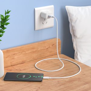 Bộ sạc nhanh Hoco C106 Micro 10.5W