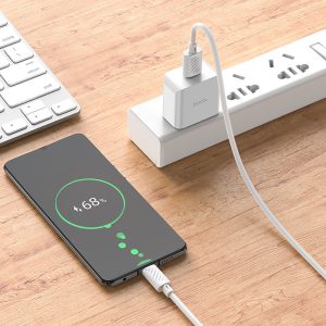 Bộ sạc nhanh Hoco C106 Micro 10.5W