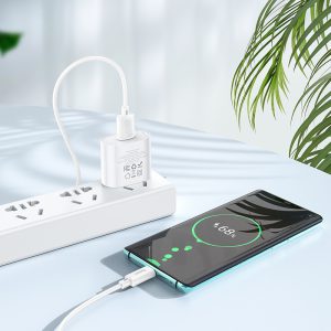 Bộ sạc nhanh 18W Hoco C109 Type C giá sỉ
