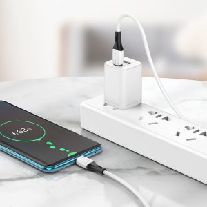 Cáp sạc silicon Borofone BX79 Type C to Type C 60W giá sỉ