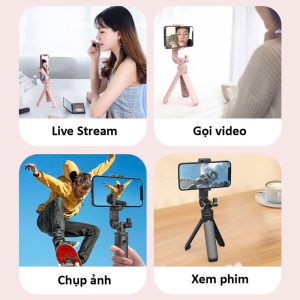 Gậy chụp ảnh tripod 3 chân D09 giá sỉ