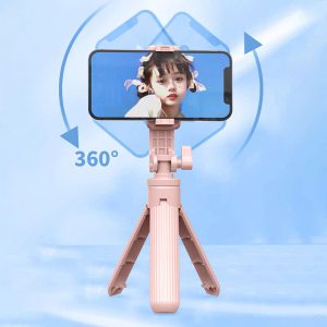 Gậy chụp ảnh tripod 3 chân D09 giá sỉ